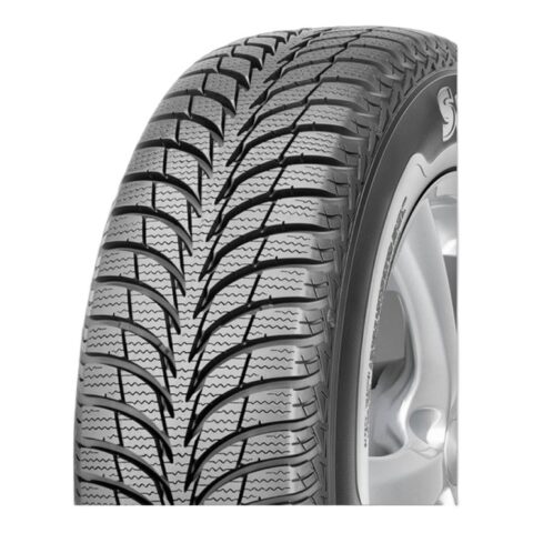 Sava Eskimo Ice 195/65 R15 95T XL
