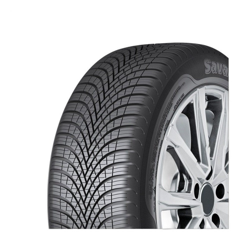 Sava All Weather 195/65 R15 91H